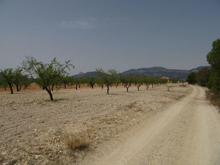 Image No.19-Property for sale