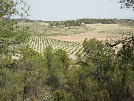 Image No.24-Property for sale