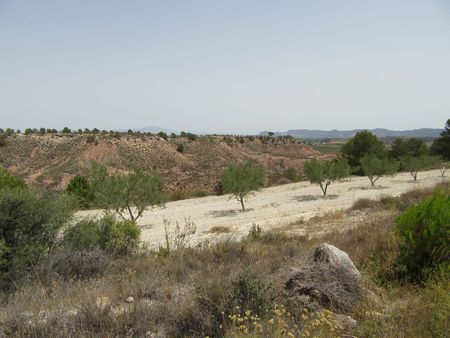 Image No.26-Property for sale