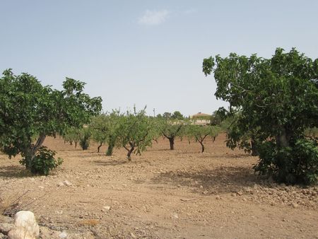 Image No.7-Property for sale