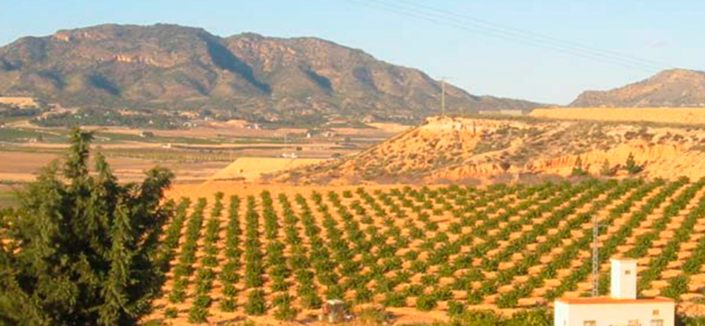 Image No.2-Property for sale