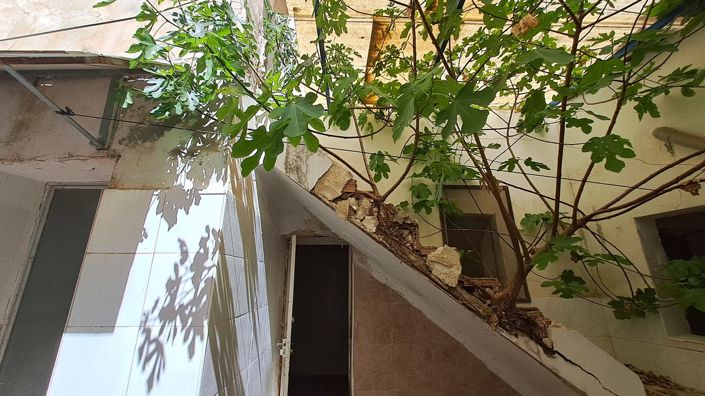 Image No.9-Commercial de 1 chambre à vendre à Orihuela