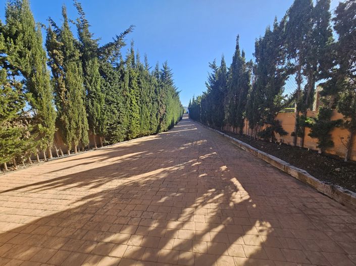 Image No.3-5 Bed Villa for sale