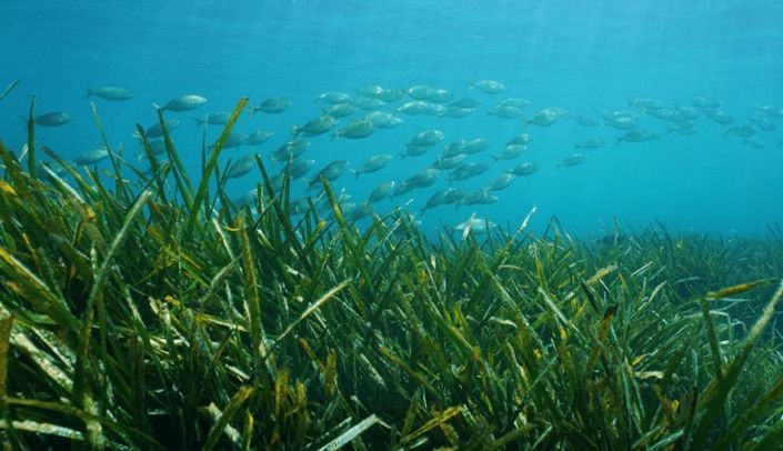 Image No.13-4 Bed Villa for sale