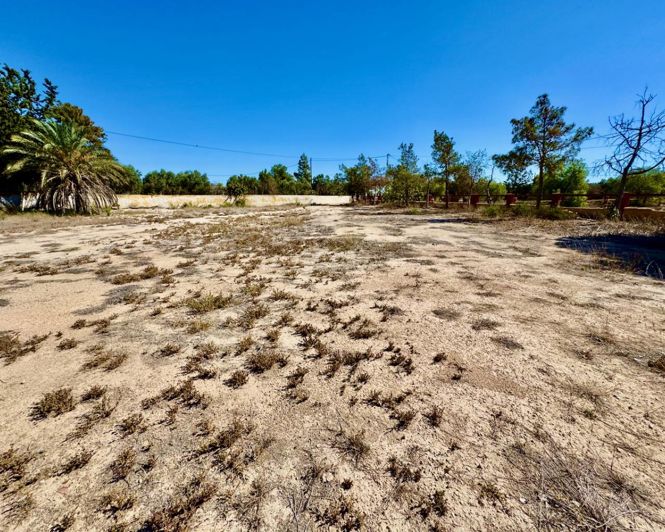 Image No.43-Propriété de pays de 4 chambres à vendre à Los Montesinos
