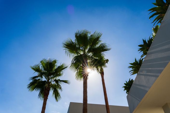 Image No.41-5 Bed Villa for sale