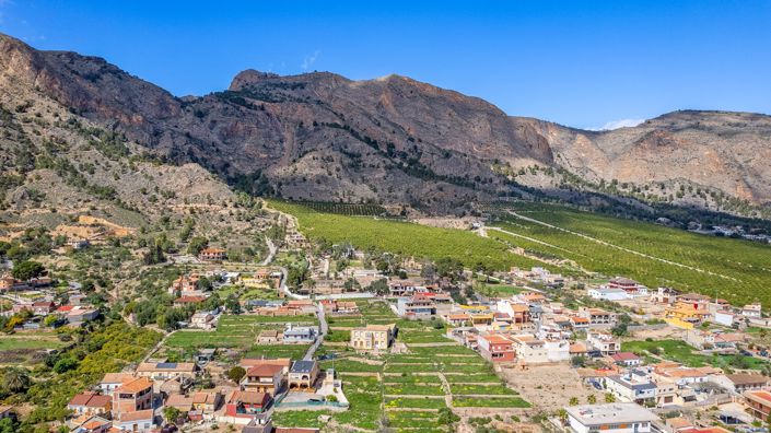 Image No.5-Propriété de pays de 7 chambres à vendre à Orihuela