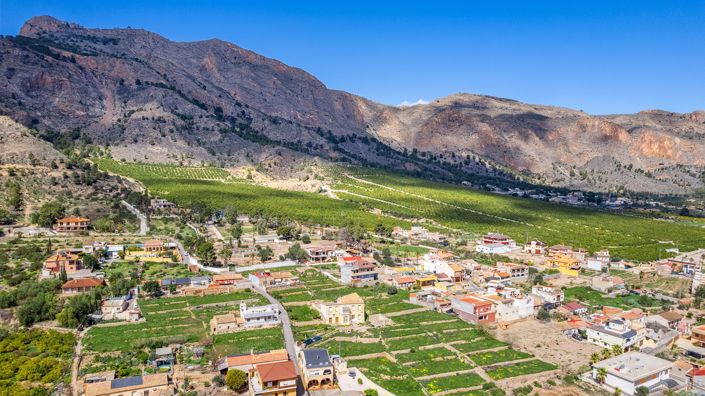 Image No.6-Propriété de pays de 7 chambres à vendre à Orihuela