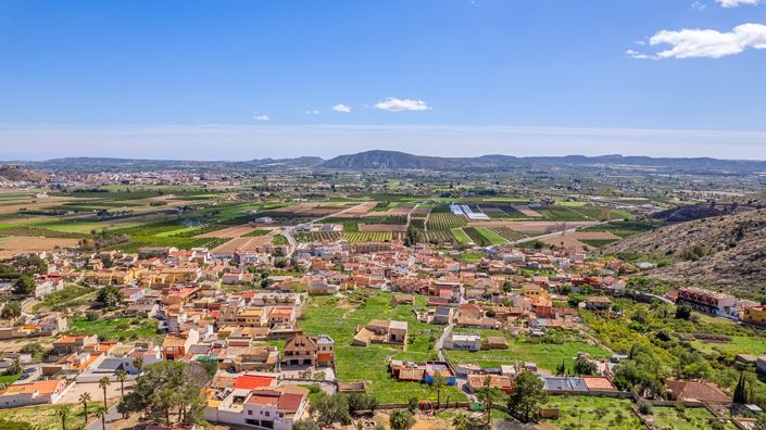 Image No.8-Propriété de pays de 7 chambres à vendre à Orihuela