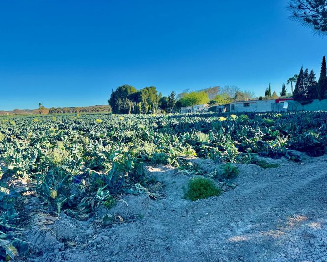 Image No.37-4 Bed Country Property for sale