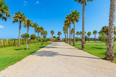 Lisa Frain Estate Agent most sold property