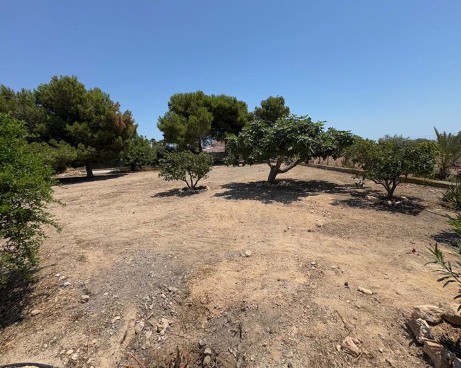 Image No.26-Propriété de pays de 3 chambres à vendre à Torrellano