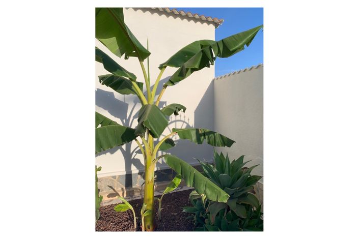 Image No.16-Villa de 4 chambres à vendre à Ciudad Quesada