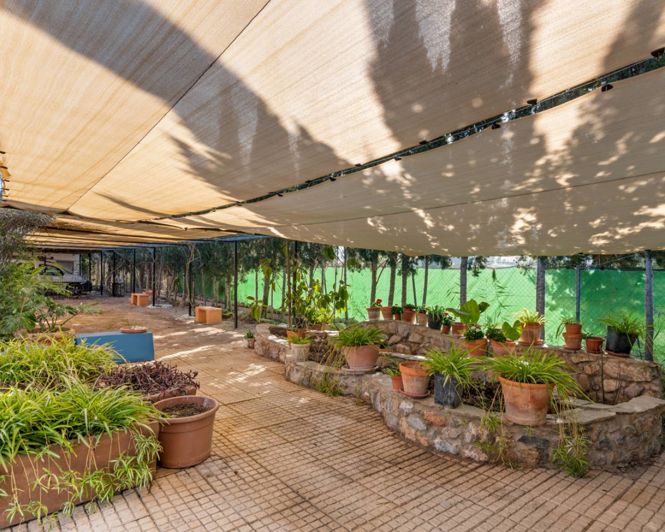 Image No.37-Propriété de pays de 7 chambres à vendre à Catral