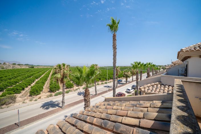 Image No.31-Bungalow de 3 chambres à vendre à Algorfa