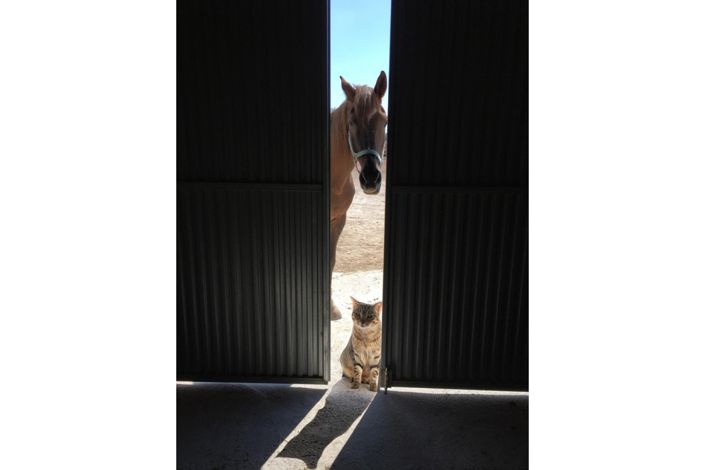 Image No.2-3 Bed Country Property for sale