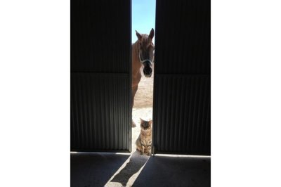 o1it774bvv7sq5na5c617ct1t1q1m