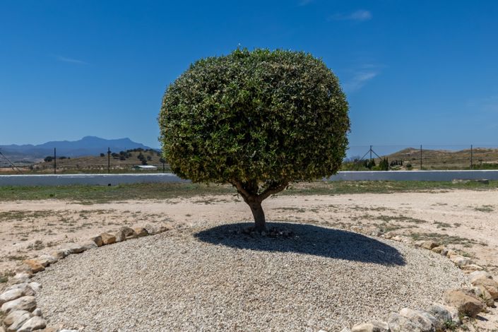 Image No.41-3 Bed Country Property for sale