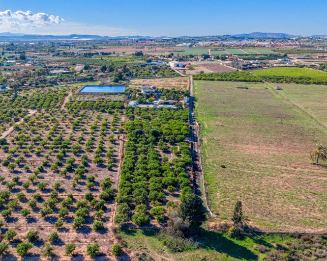 Image No.41-Propriété de pays de 10 chambres à vendre à Los Montesinos