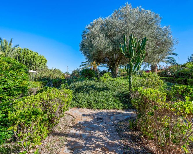 Image No.44-10 Bed Country Property for sale