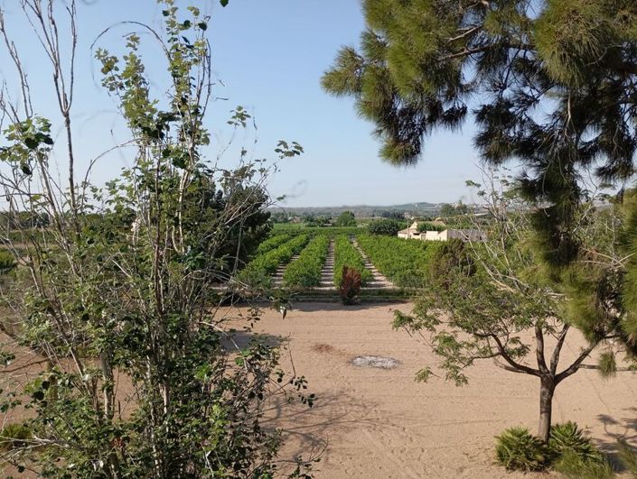 Image No.41-Villa de 4 chambres à vendre à Daya Nueva