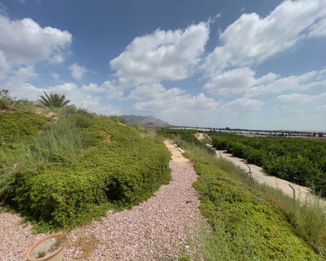 Image No.23-4 Bed Country Property for sale