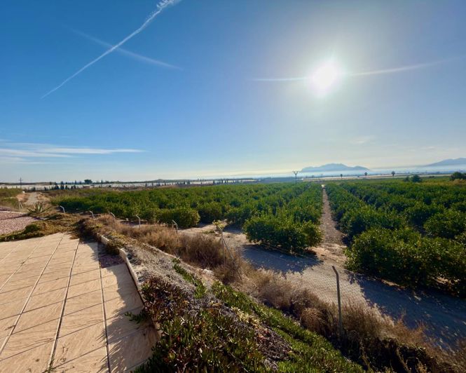 Image No.30-4 Bed Country Property for sale