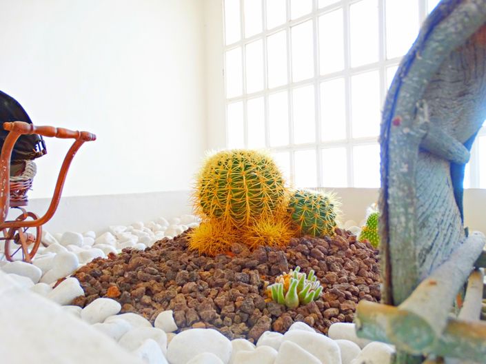 Image No.30-Villa de 8 chambres à vendre à Cabo Roig