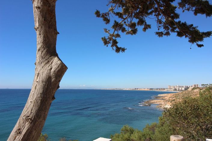 Image No.4-Villa de 8 chambres à vendre à Cabo Roig