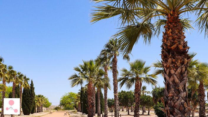 Image No.9-4 Bed Villa for sale