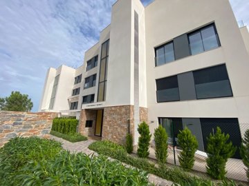 o1gild4kv8g4cnv71r3k1o2s16gv78