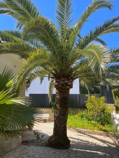 Image No.6-4 Bed Villa for sale