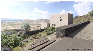 23-GFRA---two-houses-in-naxos---august-202123