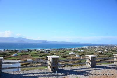 26-DSC_5669