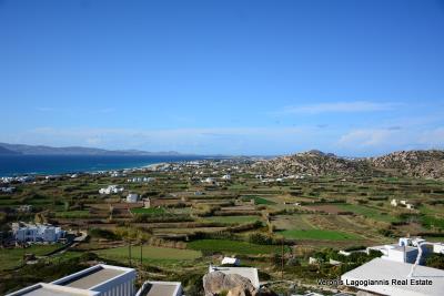 31-DSC_5674