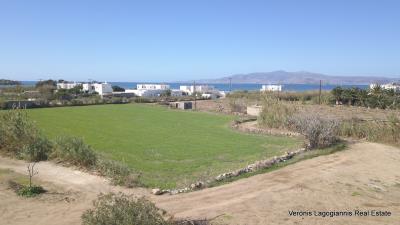 DJI_0498