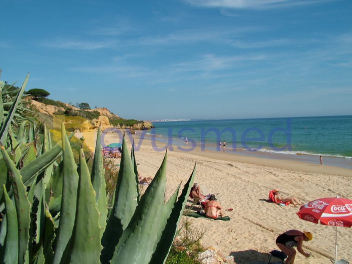 Image No.21-1 Bed Apartment for sale