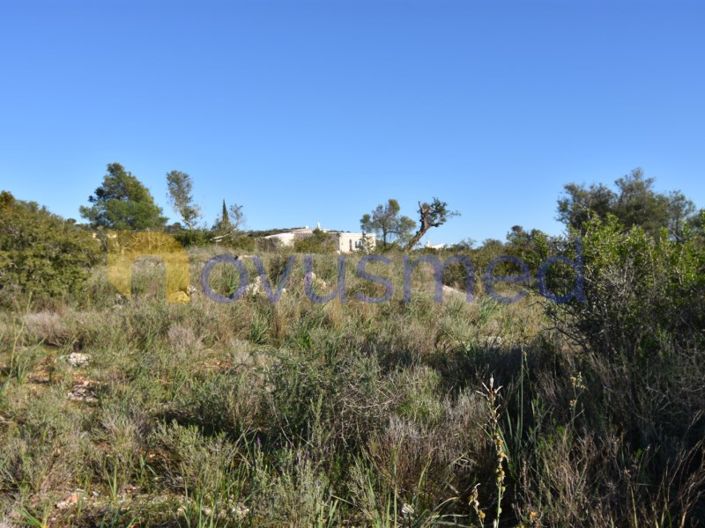 Image No.10-Ferme de 2 chambres à vendre à Silves