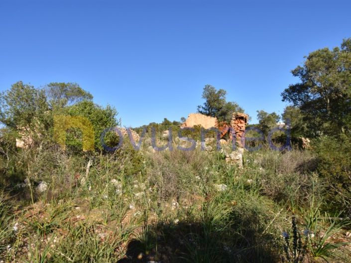 Image No.11-Ferme de 2 chambres à vendre à Silves