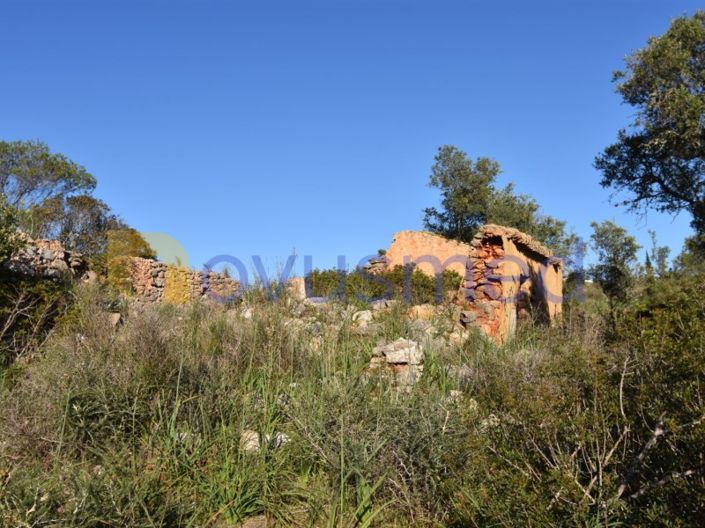 Image No.12-Ferme de 2 chambres à vendre à Silves