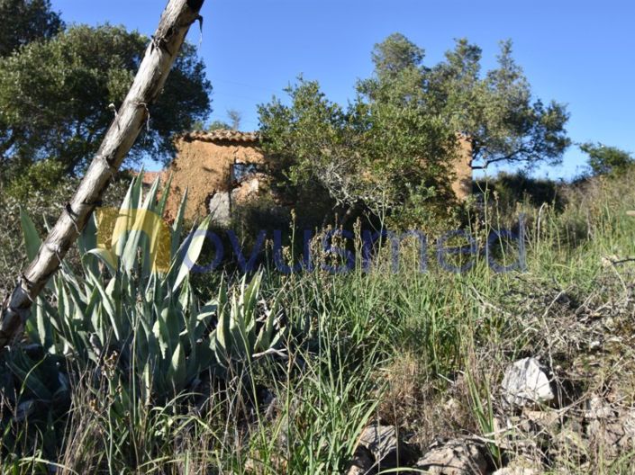 Image No.13-Ferme de 2 chambres à vendre à Silves