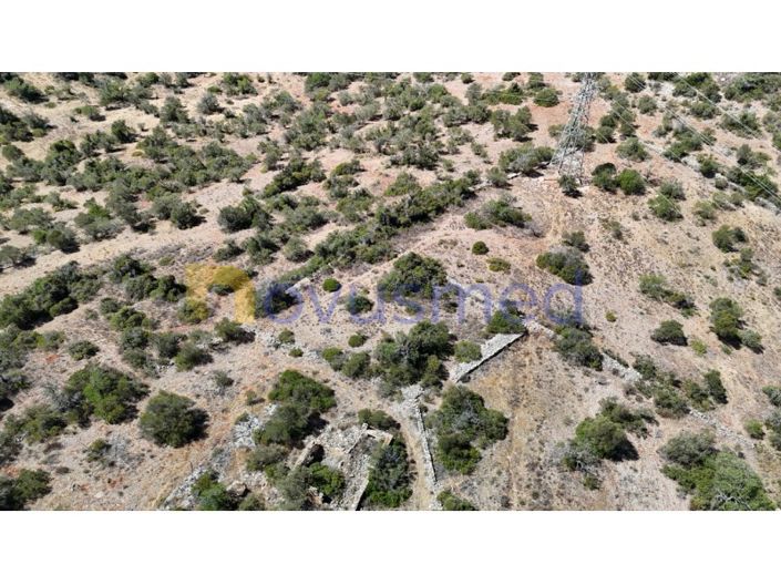 Image No.18-Ferme de 2 chambres à vendre à Silves