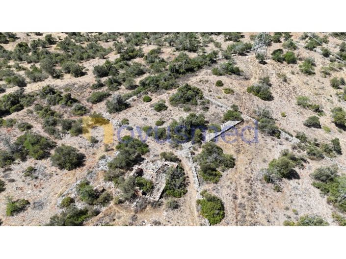 Image No.19-Ferme de 2 chambres à vendre à Silves