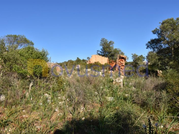 Image No.2-Ferme de 2 chambres à vendre à Silves