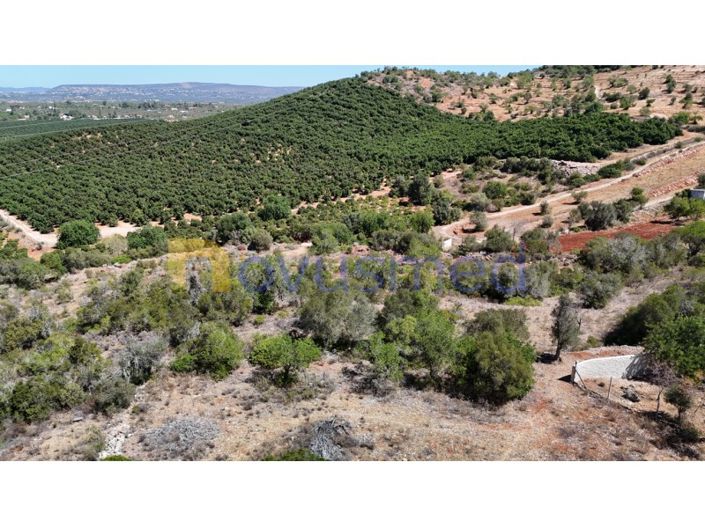 Image No.21-Ferme de 2 chambres à vendre à Silves