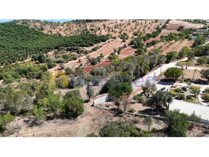 Image No.23-Ferme de 2 chambres à vendre à Silves