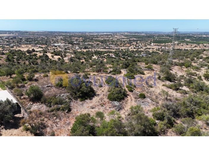 Image No.24-Ferme de 2 chambres à vendre à Silves