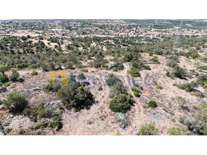 Image No.25-Ferme de 2 chambres à vendre à Silves