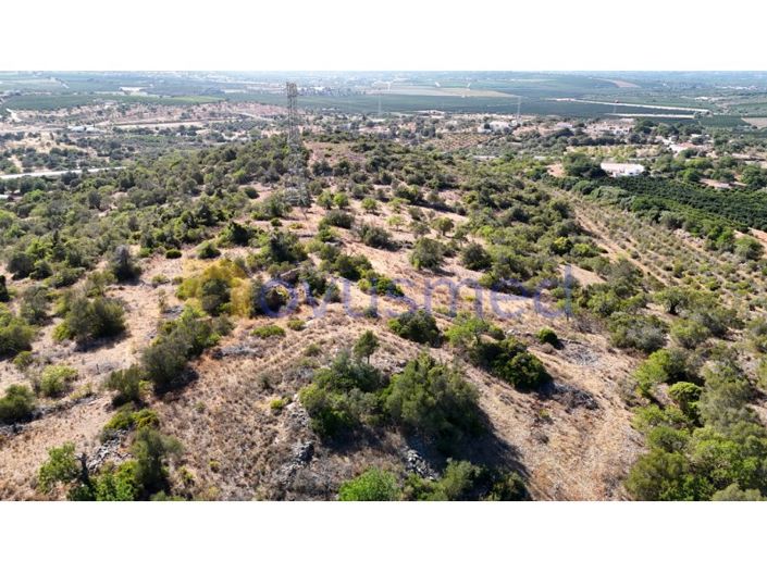 Image No.27-Ferme de 2 chambres à vendre à Silves