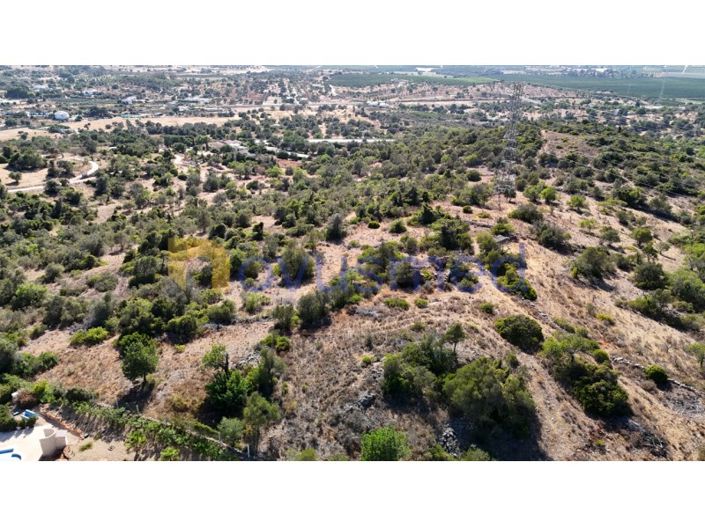 Image No.29-Ferme de 2 chambres à vendre à Silves